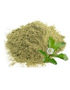 AyurNutri Karisalankanni Churnam (Bhringraj Powder), 100g