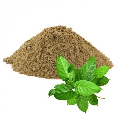 AyurNutri Sirukurinjan Churnam (Gymnema Sylvestre), 100g