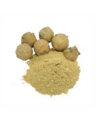AyurNutri Masikai Churnam (Oak Gall, Majuphal), 100g