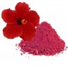 AyurNutri Chembarathi Poo Churnam (Hibiscus Flower Powder), 100g