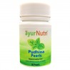 AyurNutri Pudhina Pearls (Pudin Hara) For Effective and Cooling Relief, 1 bottle of 50 Pearls