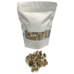 OrgoNutri Moringa Seeds (Drumstick Seeds), 100g For a Healthier Life