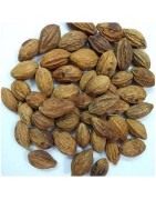 AyurNutri Harad (Harde), Karakaya, Haritaki (Chebulic Myrobalan), 100g