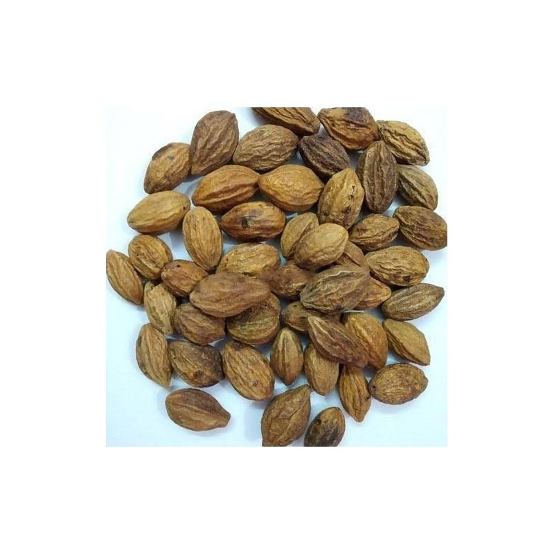AyurNutri Harad (Harde), Karakaya, Haritaki (Chebulic Myrobalan), 100g, Natural Ayurvedic Herb
