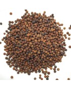 AyurNutri Vavding Seed, Vidang Seed, Embilia Ribes, 100g