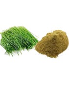 AyurNutri Arugampul Churnam (Bremuda Grass Powder), 100g