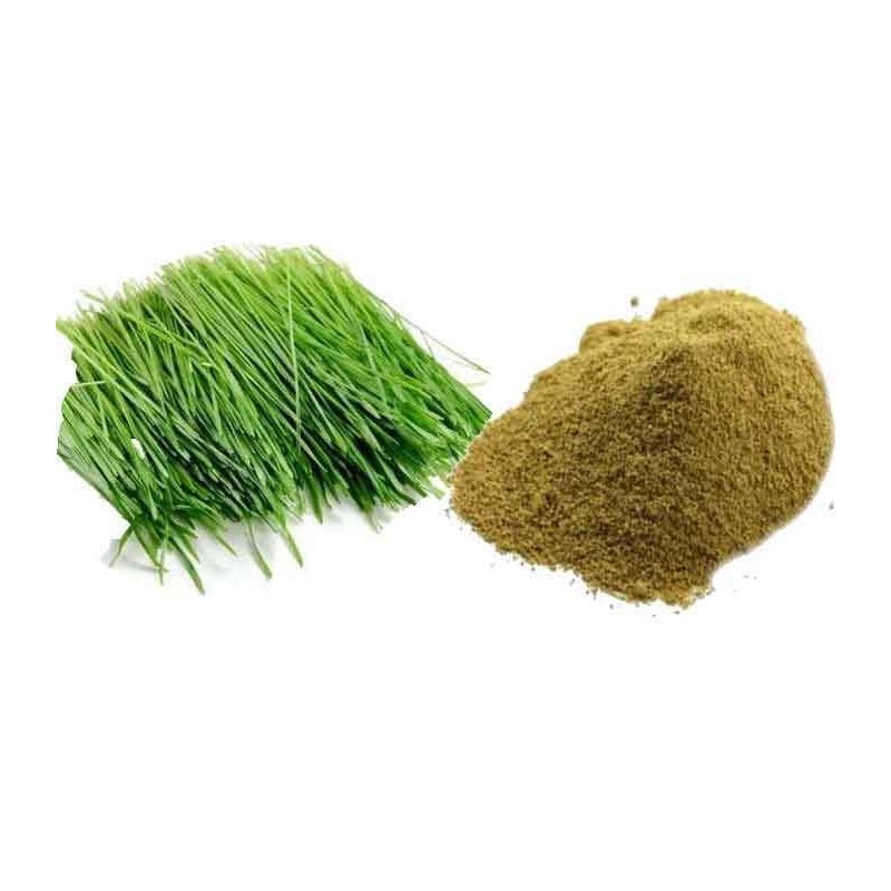 AyurNutri Arugampul Churnam (Bremuda Grass Powder), 100g