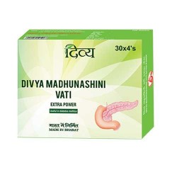 Patanjali Divya Madhunashini Vati Extra Power Tablets 500mg, (30*4’s, Pack of 120)