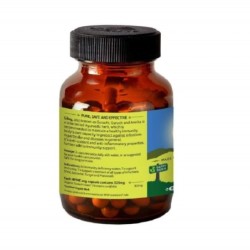 Organic India Giloy Immune Support, 60 Capsules