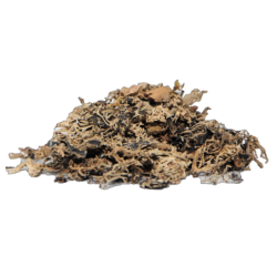 Satvik Stone Flower Spice Pathar Phool Dagad Phool Kalpasi, for Your