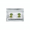 MamaEarth 100% Natural Mosquito Repellent Patches, 24 Patches (0-10 Years), Protects From Dengue, Malaria & Chikungunya