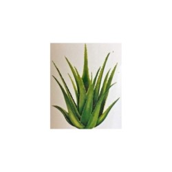 Sleek Aloe Vera Wax, Rejuvenate the Skin on Waxing 600g