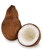 Satvik Fresh Whole Coconut (Wet Coconut), Nariyal, Kopra (2pcs)
