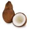 Satvik Fresh Whole Coconut (Wet Coconut), Nariyal, Kopra (2pcs)