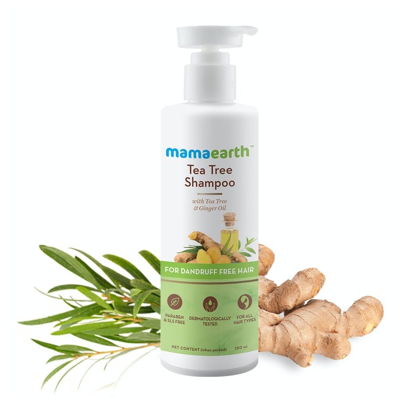 MamaEarth Tea Tree Shampoo, 250ml with Tea Tree & Ginger Oil For Dandruff Free Hair