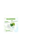 Mamaearth - Leaves of clarity essence serum - 30ml