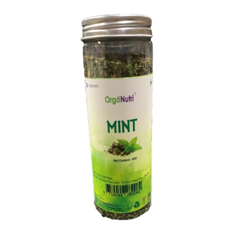 Orgonutri Dried Mint Leaves, (Dry Pudina Leaves), Seasoning Herb 40g