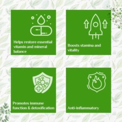 Organic India Moringa Powder Essential Nutrition 100g