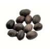 Satvik Natural Raw Kamal Gatta (Lotus Seeds) for Prayers 22pcs