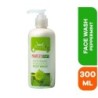 Janet Ayurveda Pimples Out Peppermint Medicated Face Wash 300ml