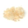 Orgonutri Gum Tragacanth (Gond Katira, Edible Gum) for Cooking Sweets