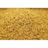Satvik Chawal Ke Dhan Ke Beej, Vadlu (Rice Paddy Seeds) Pooja Dhan