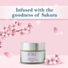 Lotus Herbals Radiance Cream for Soft and Smooth (Normal Skin) 50 G