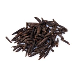 Orgonutri Dried Kapok Buds, Marathi Moggu, Premium Quality 100g