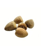 Satvik Pooja Supari 5Pcs Plastic Air Tight