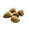 Satvik Whole Pooja Supari (Betel Nut), 5pcs