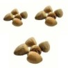 Satvik Whole Pooja Supari (Betel Nut Whole ) 20 (Pcs) for Prayer