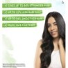 Mamaearth Lemon Anti-Dandruff Shampoo with Lemon & Ginger for Itchy