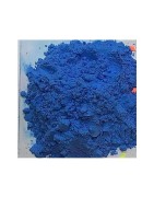 Satvik Rang De Holi Blue Color Powder, 2 Packs of Color, (100gm each)