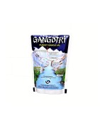 Gangotri purest ganga jal 200ml