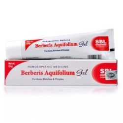 Sbl Berberis Aquifolium Gel 25g