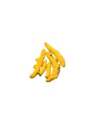 pooja haldi whole