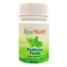 Ayurnutri Pudhina Pearls (Pudin Hara) for Effective and Cooling
