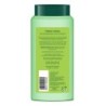 Biotique Fresh Neem Anti Dandruff Shampoo and Conditioner Controls