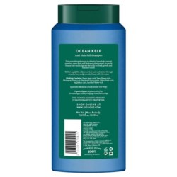Biotique Ocean Kelp Protein Shampoo for Falling Hair, Intensive Hair