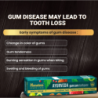 Himalaya Ayurveda Gum Care Toothpaste Pack of 2 150g