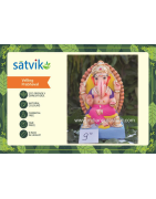 Velling-Prabhaval Eco Friendly Ganesha Idol Made of Clay Shadu Mati- 8.5 inches. Perfect for Ganesha lovers. Can be comfortably