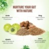 Dabur Gut Health Juice - 100% Natural & Ayurvedic All in One