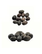Kamal Gatta (Lotus Seeds) For Prayers