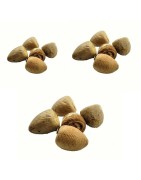 Satvik Pooja Supari 5Pcs Plastic Air Tight