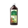 Dabur Triphala Juice - 100% Ayurvedic Formulation Improves Gut Health