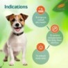 Himalaya Erina-Ep Powder Tick & Flea Control for Dogs & Cats
