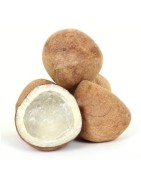 Satvik Dry Whole Coconut, Dry Copra, Nariyal (2pcs)