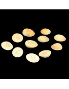 Satvik Natural Gomti Chakra, Gomati Chakra, Vishnu Chakra for Lakshmi Puja (11pcs)