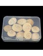 Satvik Natural Gomti Chakra, Gomati Chakra, Vishnu Chakra for Lakshmi Puja (11pcs)