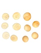 Satvik Natural Gomti Chakra, Gomati Chakra, Vishnu Chakra for Lakshmi Puja (11pcs)